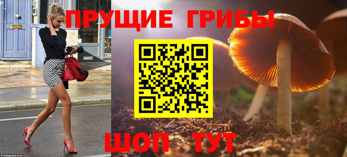 что такое наркотик  Псилоцибиновые грибы прущие грибы  Вход с VPN  Ессентуки 